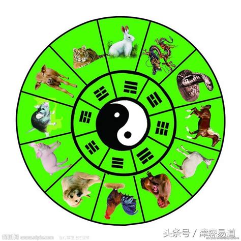 乾宮八卦|易經八卦:八卦卦象,含義,八卦關係,八卦與五行,八卦與。